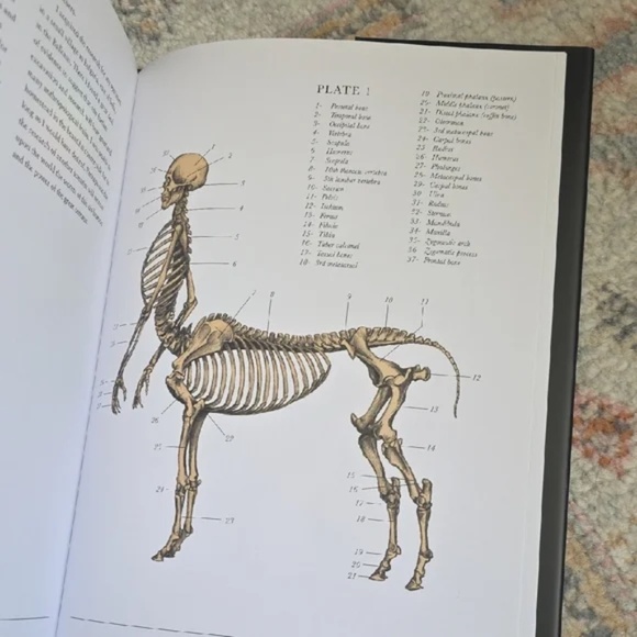The Resurrectionist Book by E.B Hudspeth - Picture 4 of 6